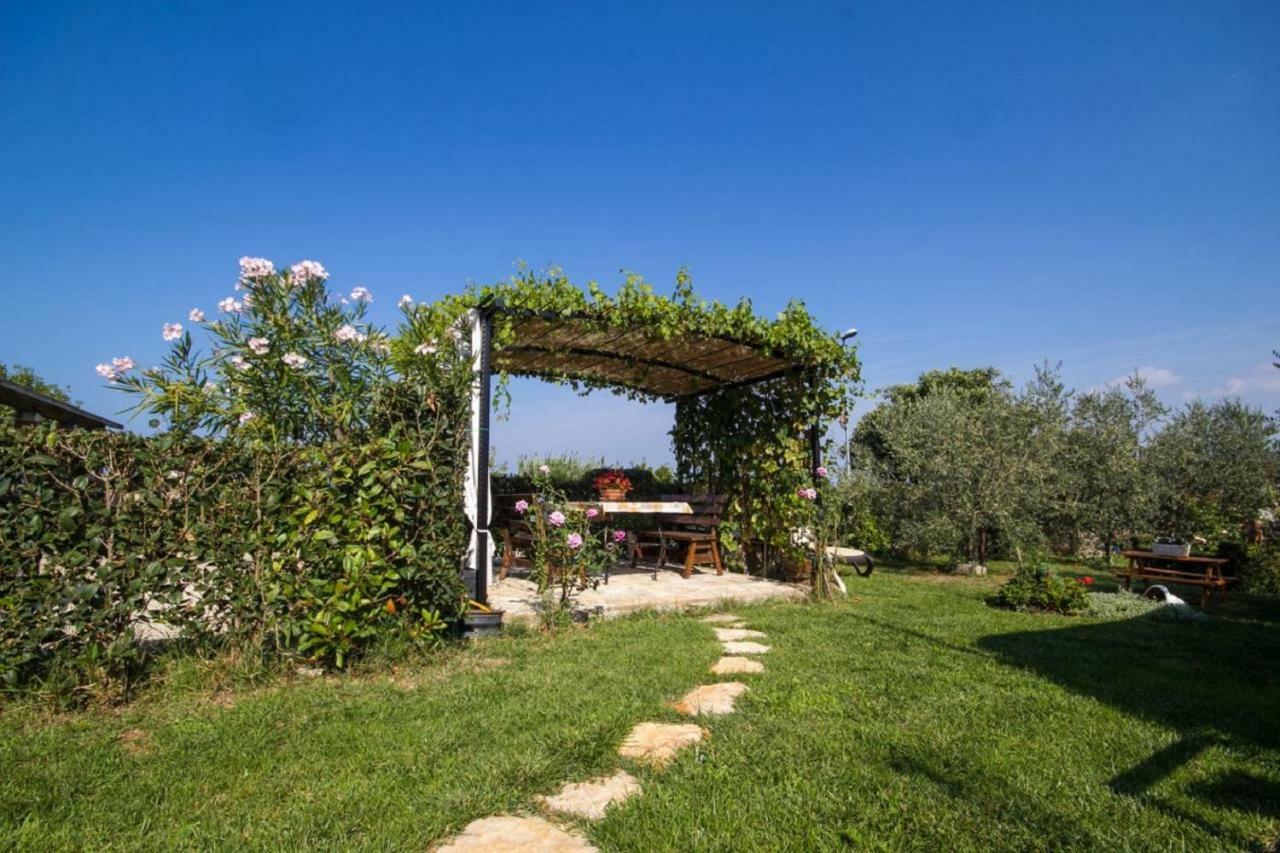 Rade Stancijeta Apartments Novigrad Istria Eksteriør billede